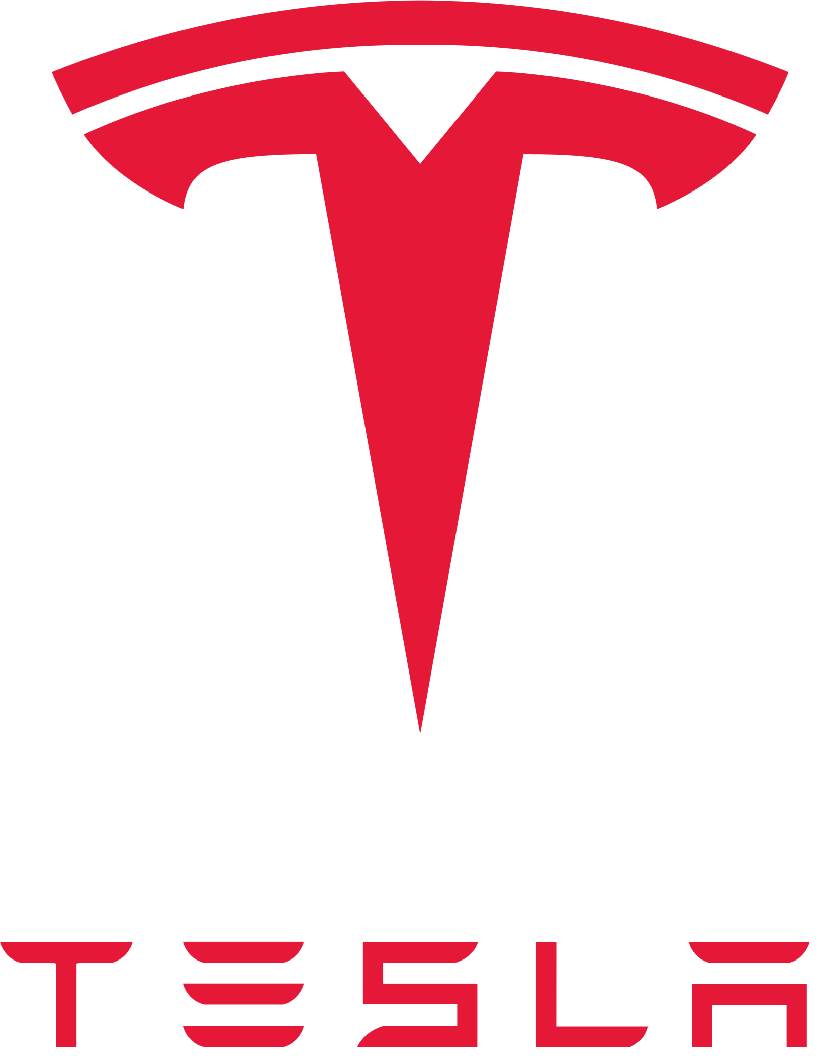 TESLA logo